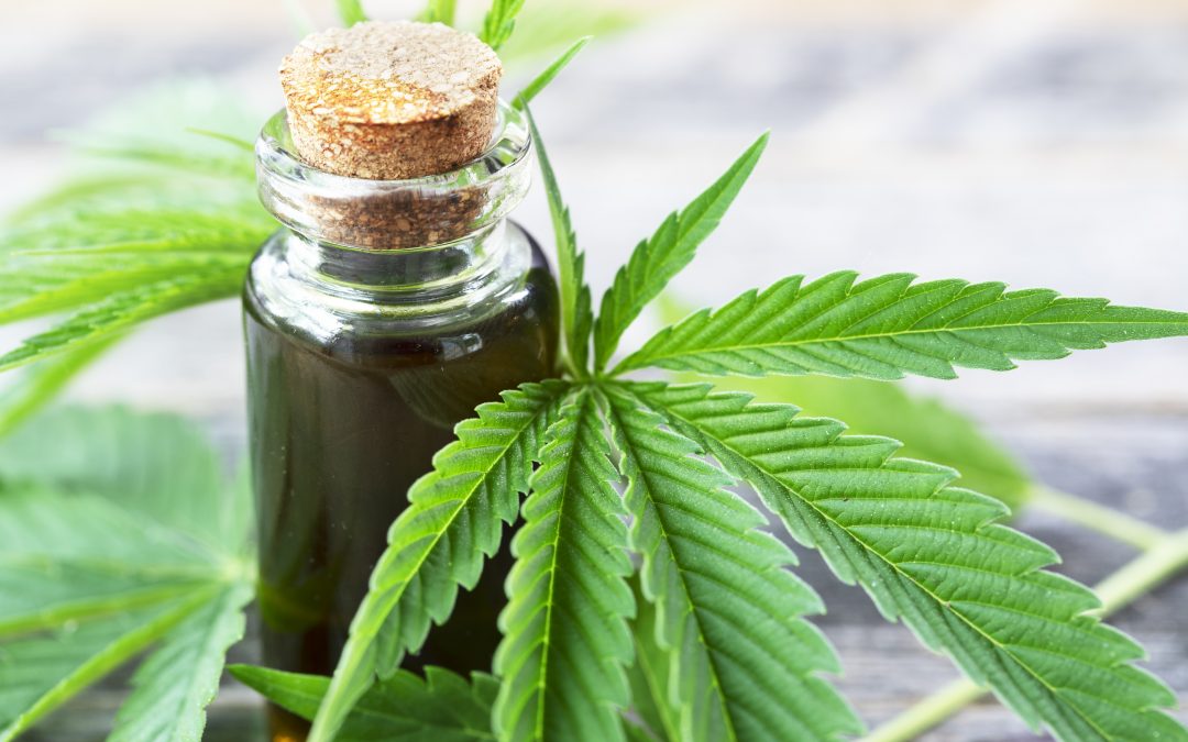 How to Use Cannabis Oil