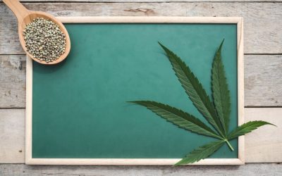 The History of Cannabis Strains