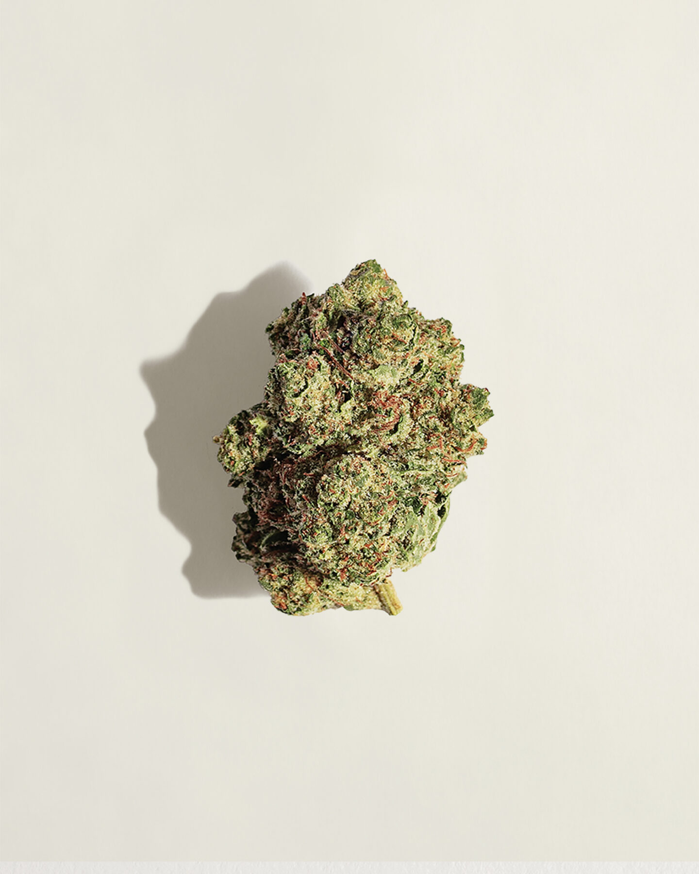 psf flower pinkkush productpage 2048x2560 v1 r1 1440x1800