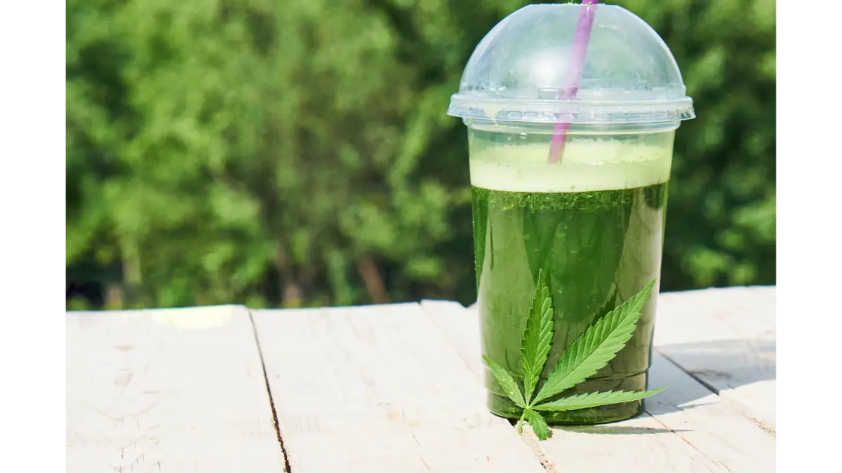 green marijuana smoothie juice on white background 2026 01 08 02 41 36 utc