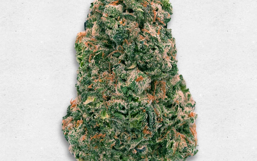 wedding cake main cannabis